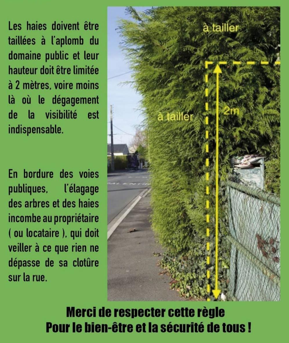 Elagage sur domaine public